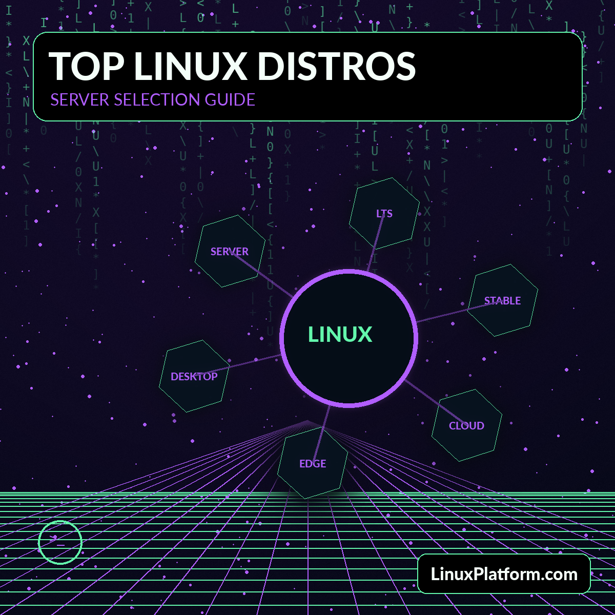Futuristic network of Linux server distribution choices with LinuxPlatform.com watermark